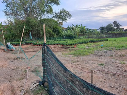 482007168 1146965380456907 2709563394617899251 n.jpg