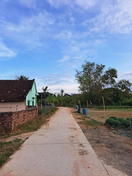 481994290 1146965340456911 2737883069222822343 n.jpg