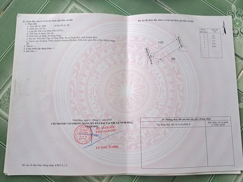 481686763 1146965303790248 2375607808685792780 n.jpg