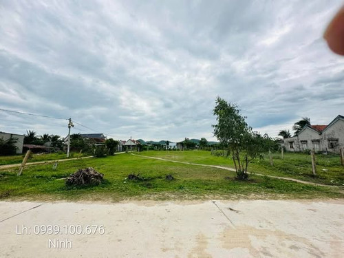 481786245 9875726915780004 1371432820967082096 n.jpg