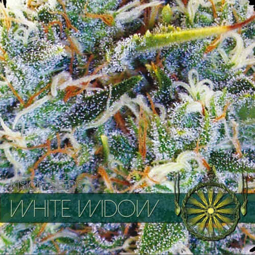 White Widow Seeds