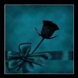 rose2 bc nightlife 1(1)