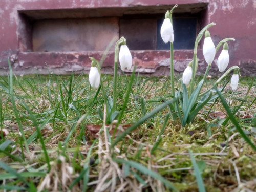 e719ee63 d27c 4e84 9a9c 6f5c5e22e1d5