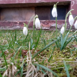 e719ee63 d27c 4e84 9a9c 6f5c5e22e1d5