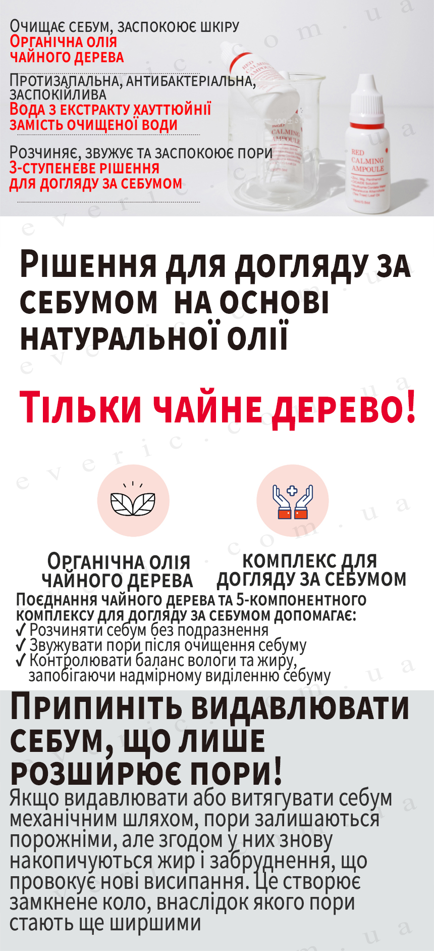 6 копия