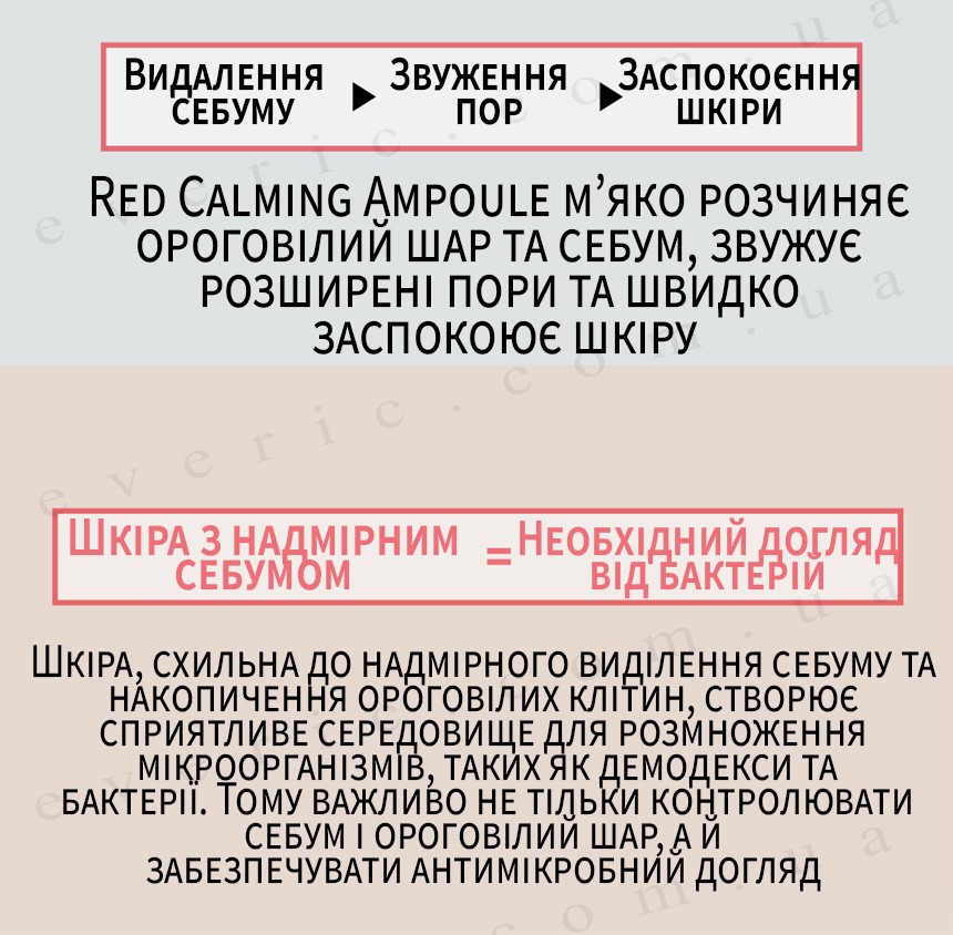 8 копия