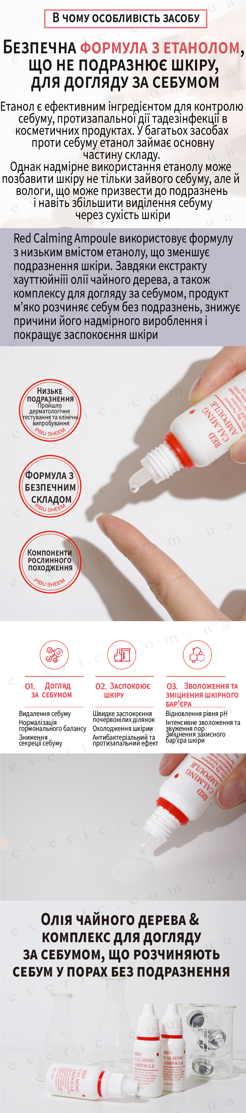 12 копия