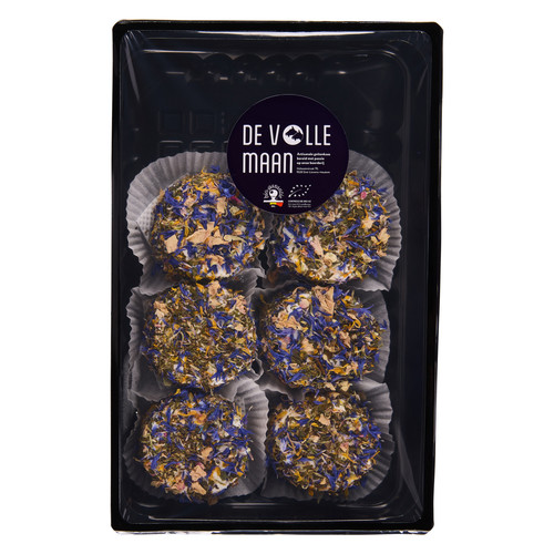 109 rachel schotel.jpg