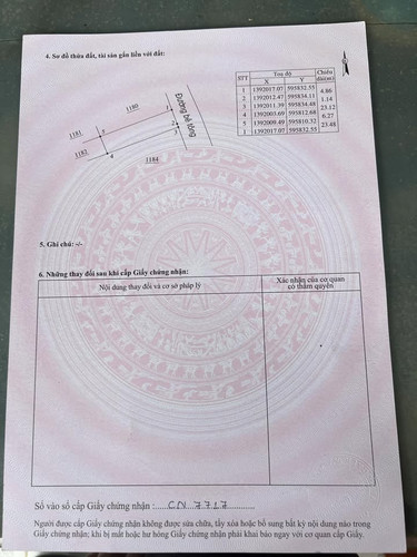 482358846 650370544036166 3044194317259079395 n.jpg