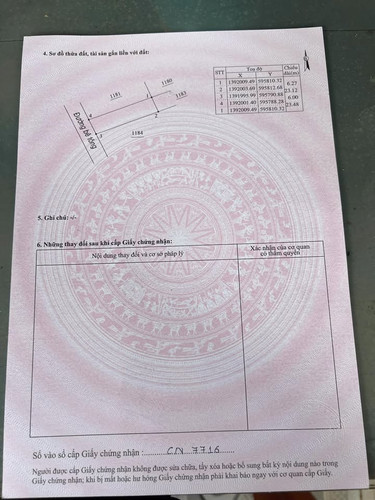 481780296 650370590702828 7689223351715943305 n.jpg