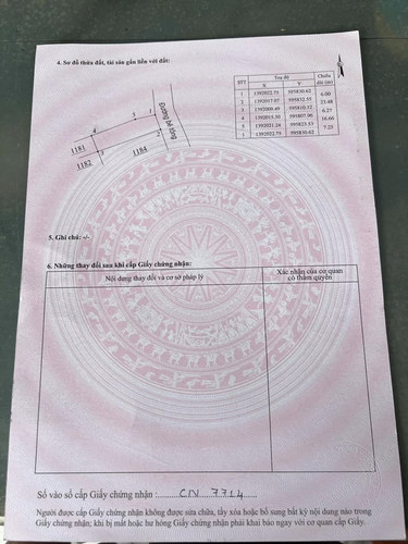 481920015 650370494036171 3494772859759200346 n.jpg