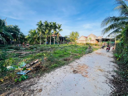 482083946 4193816014185891 3708573506981685780 n.jpg