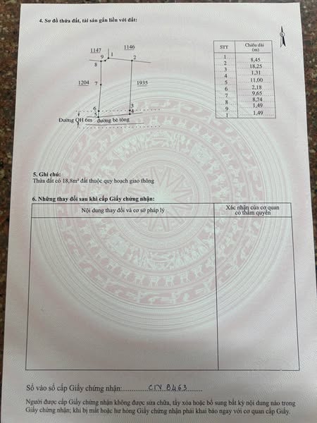 481711402 4193816037519222 5415063892807704076 n.jpg