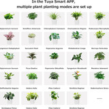 14 710Lb8oZG L. AC SL1500 