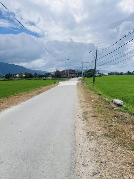 481302865 2117429375379669 4391865253921223253 n.jpg