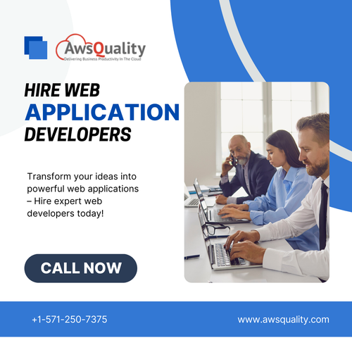Hire Web Application Developers.png