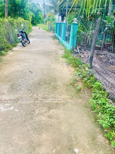 481674181 3852076778342356 4022191069914055282 n.jpg