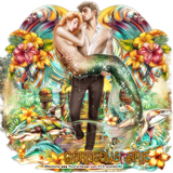 TK Alohakit DBS Cframe Nocturne GA.png