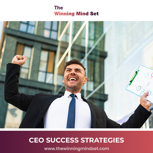 CEO SUCCESS STRATEGIES.jpg