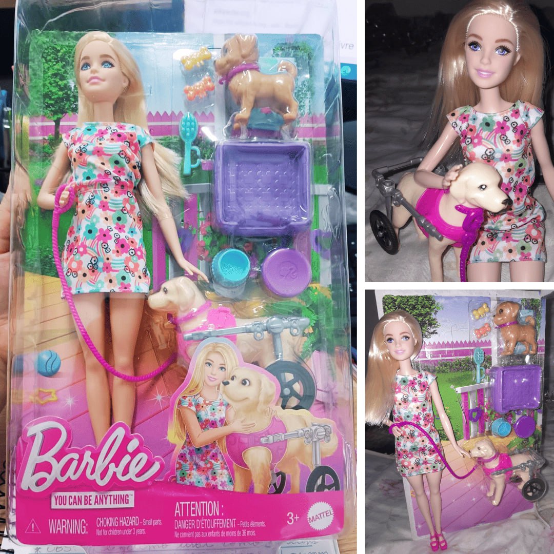 Barbie, Conjunto de Brinquedo, Passeio de Animais de Estimação com Cadeira de Rodas, 1 Boneca, 2 Cachorros e Acessórios