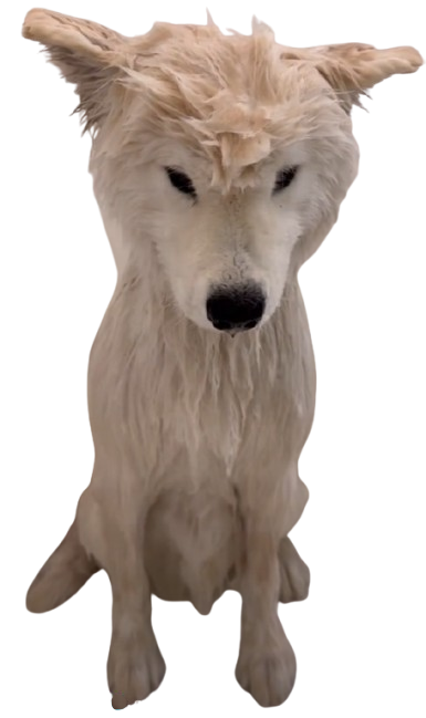 image 2025 04 22 222259202 removebg preview.png