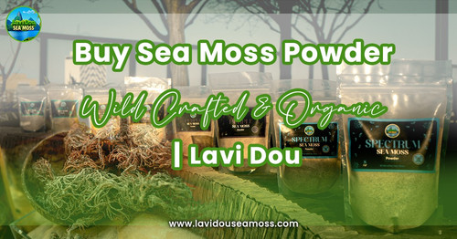 Buy Sea Moss Powder  Wild Crafted  Organic  Lavi Dou.jpg