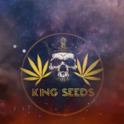 IMG 20241215 154352 889.webp