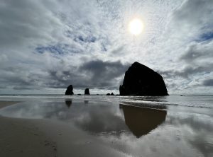 Oregon Coast tours | terrantravels.com.jpg