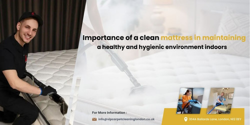 Importance of a clean mattress in maintaining a healthy and hygienic environment indoors(1).jpg