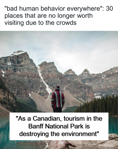 d83bc93b 3dfc 4d7f be3d e57ab5b31bc2.png