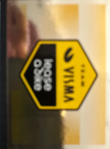 239.jpg