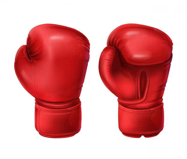 Boxhandschuhe