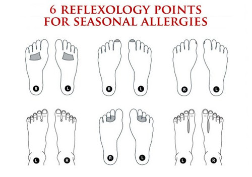 allergies2505.jpg