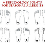allergies2505