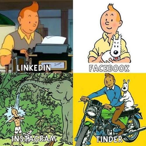 TINTIN IMG 9732.jpg