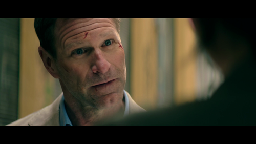 谍影追凶.The.Bricklayer.2023.1080p.Friday.WEB DL.AAC.H264 HDSWEB.mkv 20250422 105845.029.png