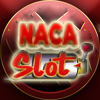 favicon naca.png