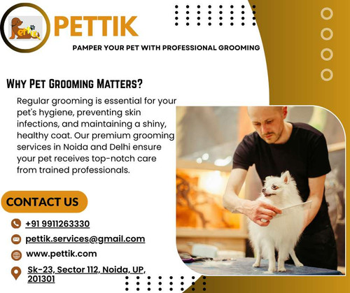 Dog Grooming Service Delhi.jpg