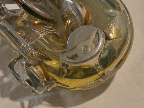 P1110799.JPG.jpg