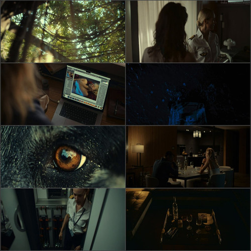 Visions Movie Download.jpg