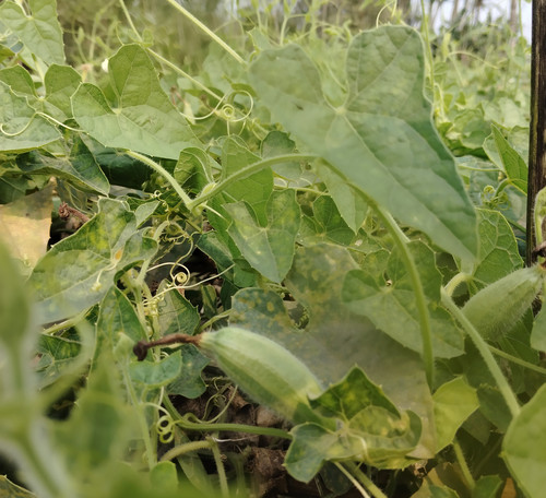 IMG 20250223 102003.jpg