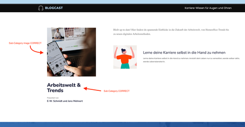 Screenshot 2025 02 22 at 10 55 23 Kategorie Arbeitswelt & Trends » KarriereMarshal