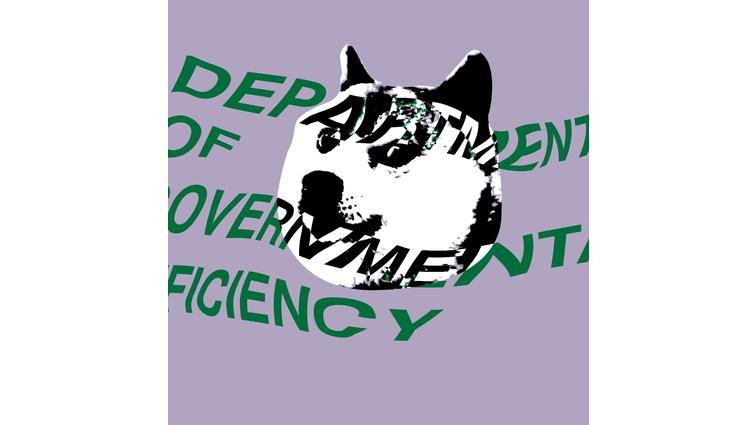 None DOGE can keep accessing government data for now, judge rules