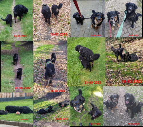 Screenshot 20250222 130555