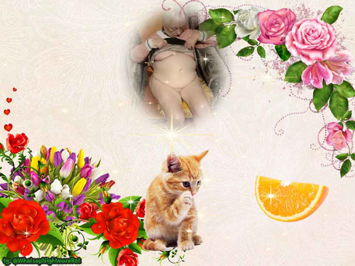 photo 2025 02 21 01 12 22.jpg