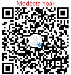 Modesta hoar.png