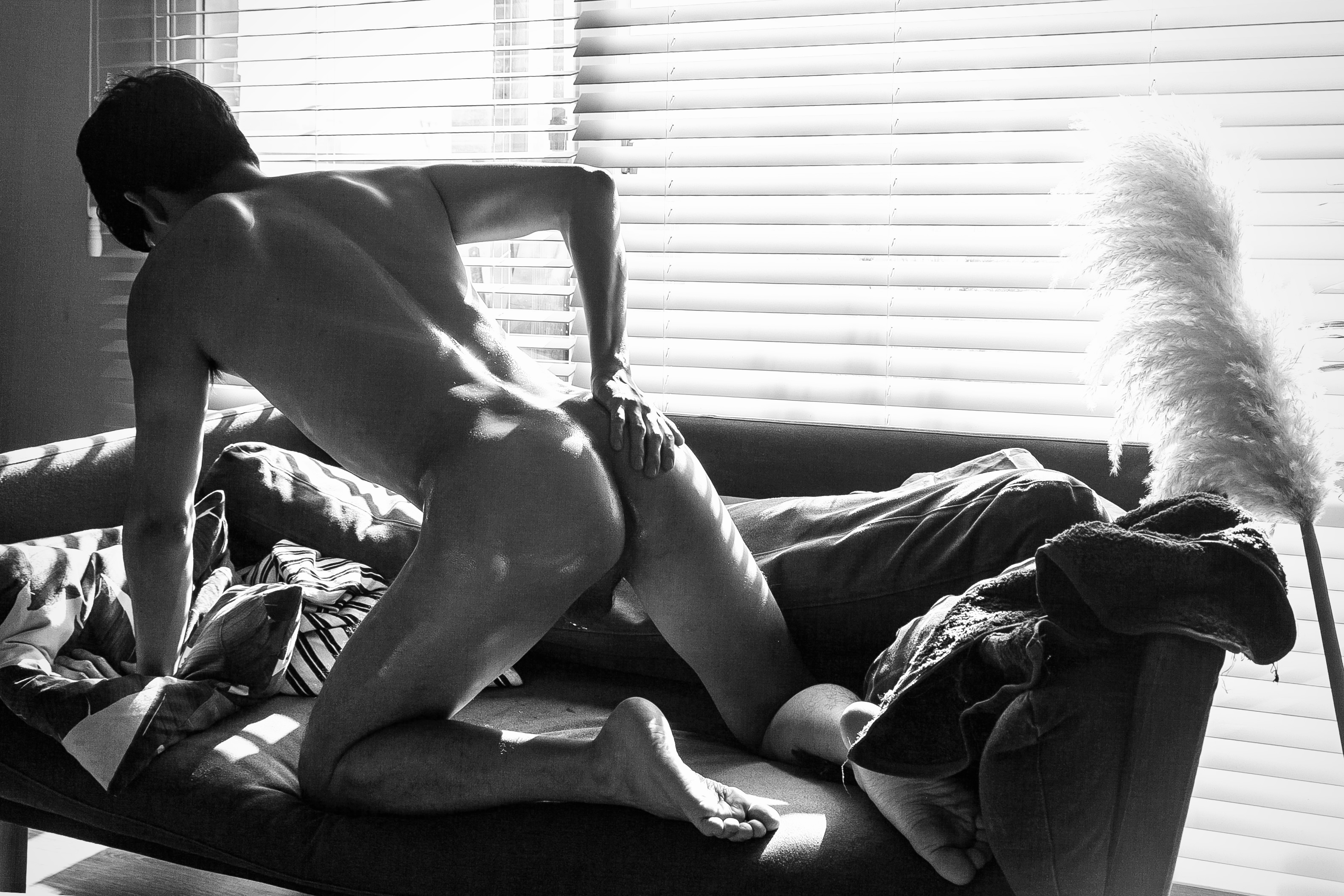 13764D1D 4C91 4466 8672 D52996E98D0D