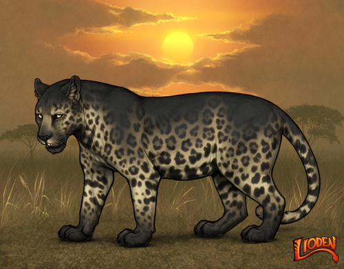 lion 794237666749 (1).png