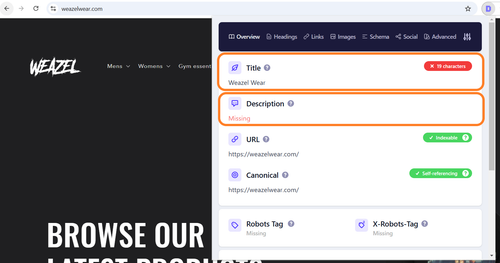 HomePage Missing Meta Title and Meta Description.png