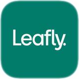 leafly
